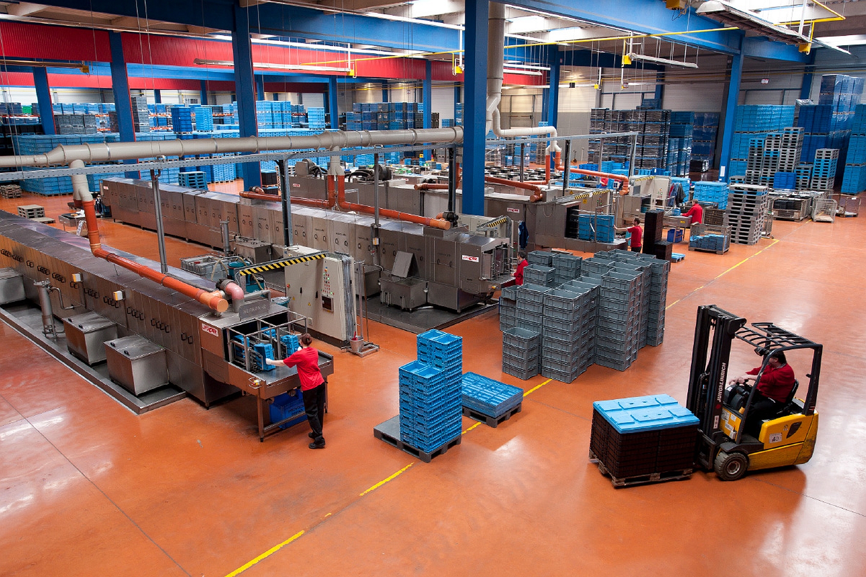 Newsletter 07 dhf 31 2026