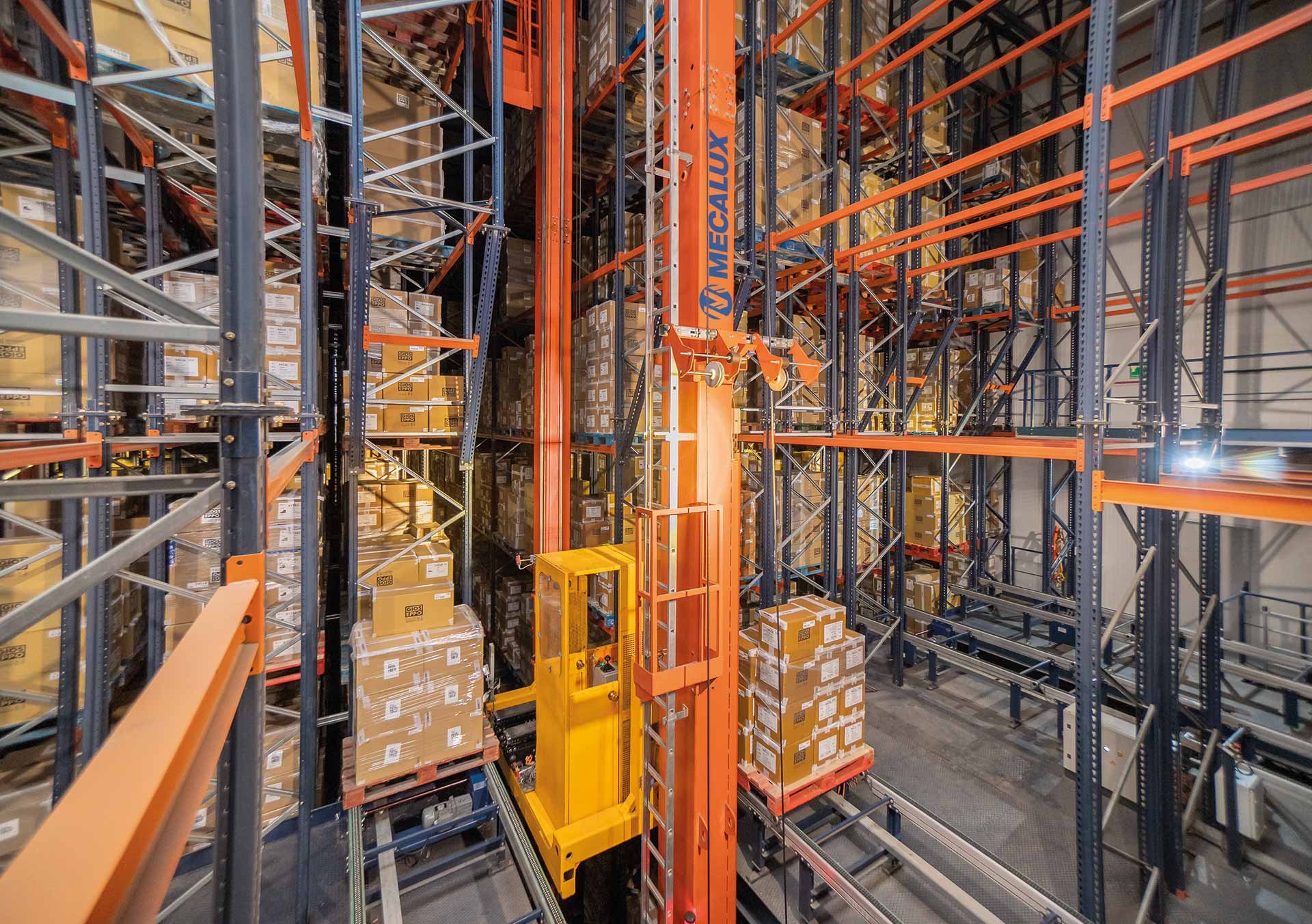 Newsletter 06 dhf 35 2026