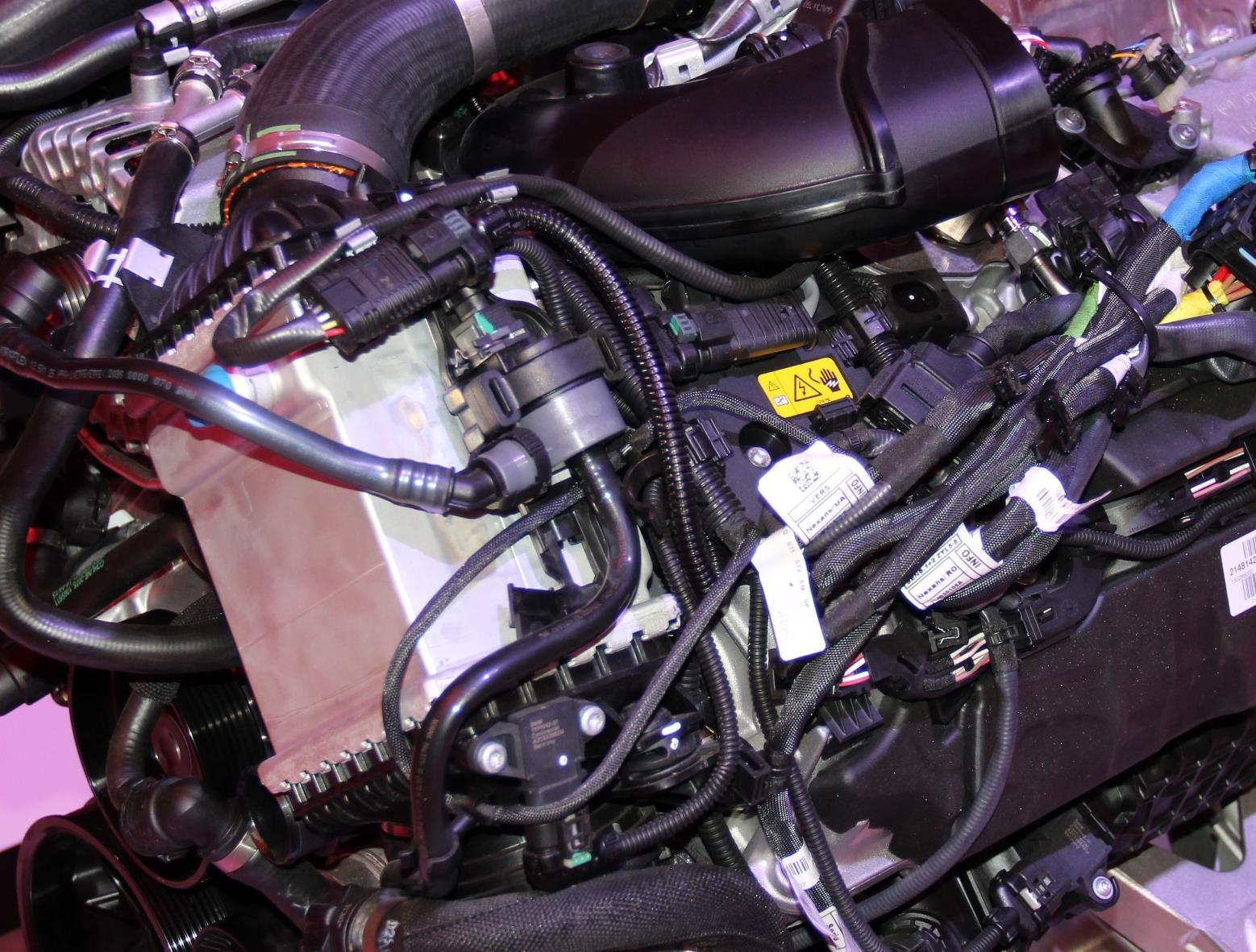 126551 RUPNL7 Centauro