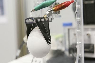 Greifer für zerbrechliche und verformbare Gegenstände 3