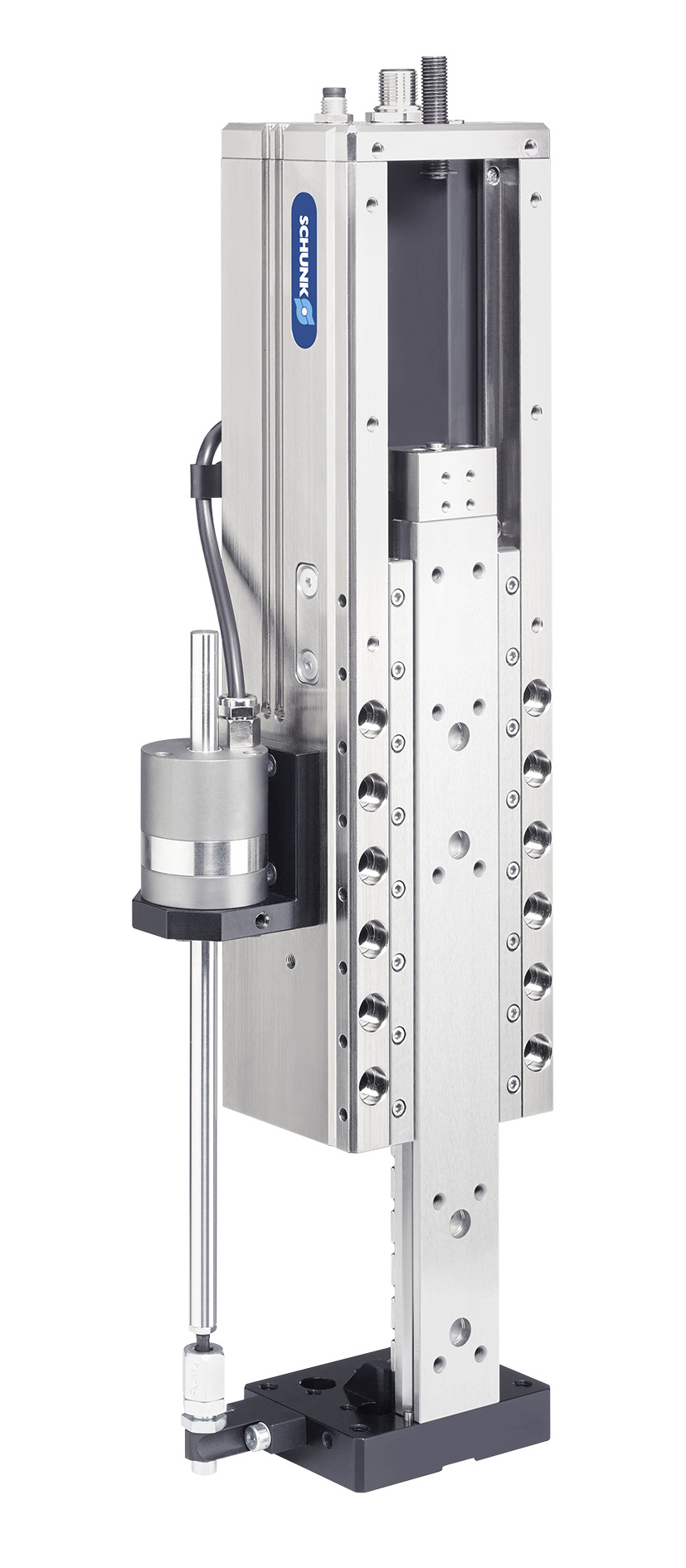 web 135742 ELP mit Bremse