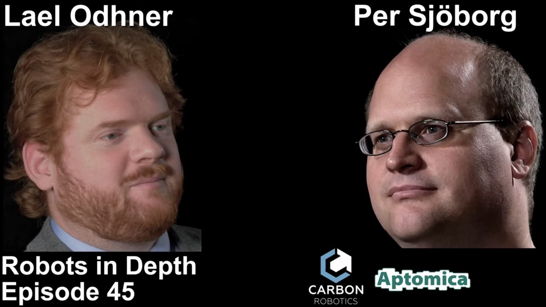 cropped 169412 Robots in depth 45