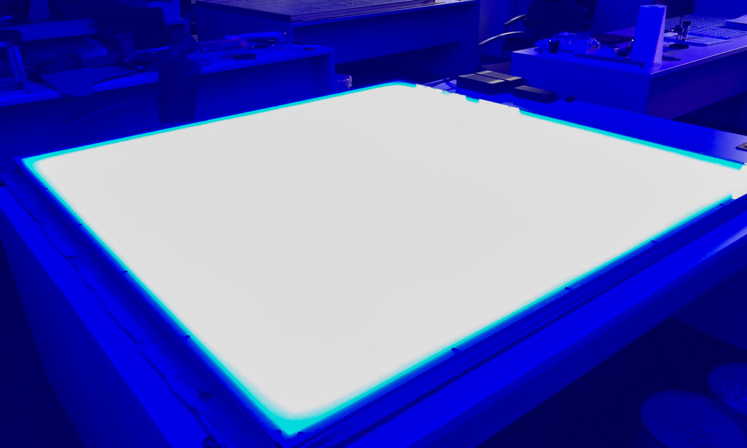 web 169631 IMG 2522 a