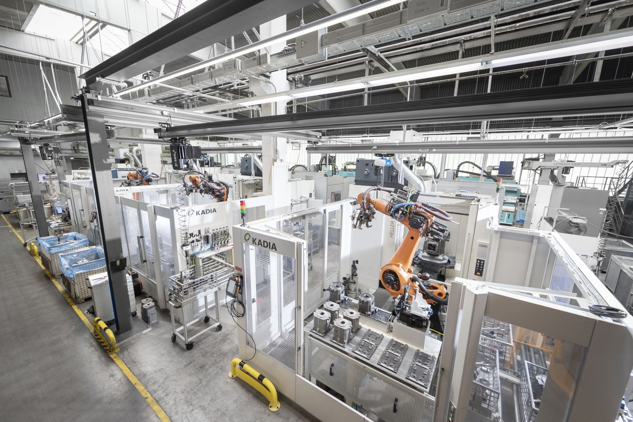 web 200562 1CS 0231 1 scaled