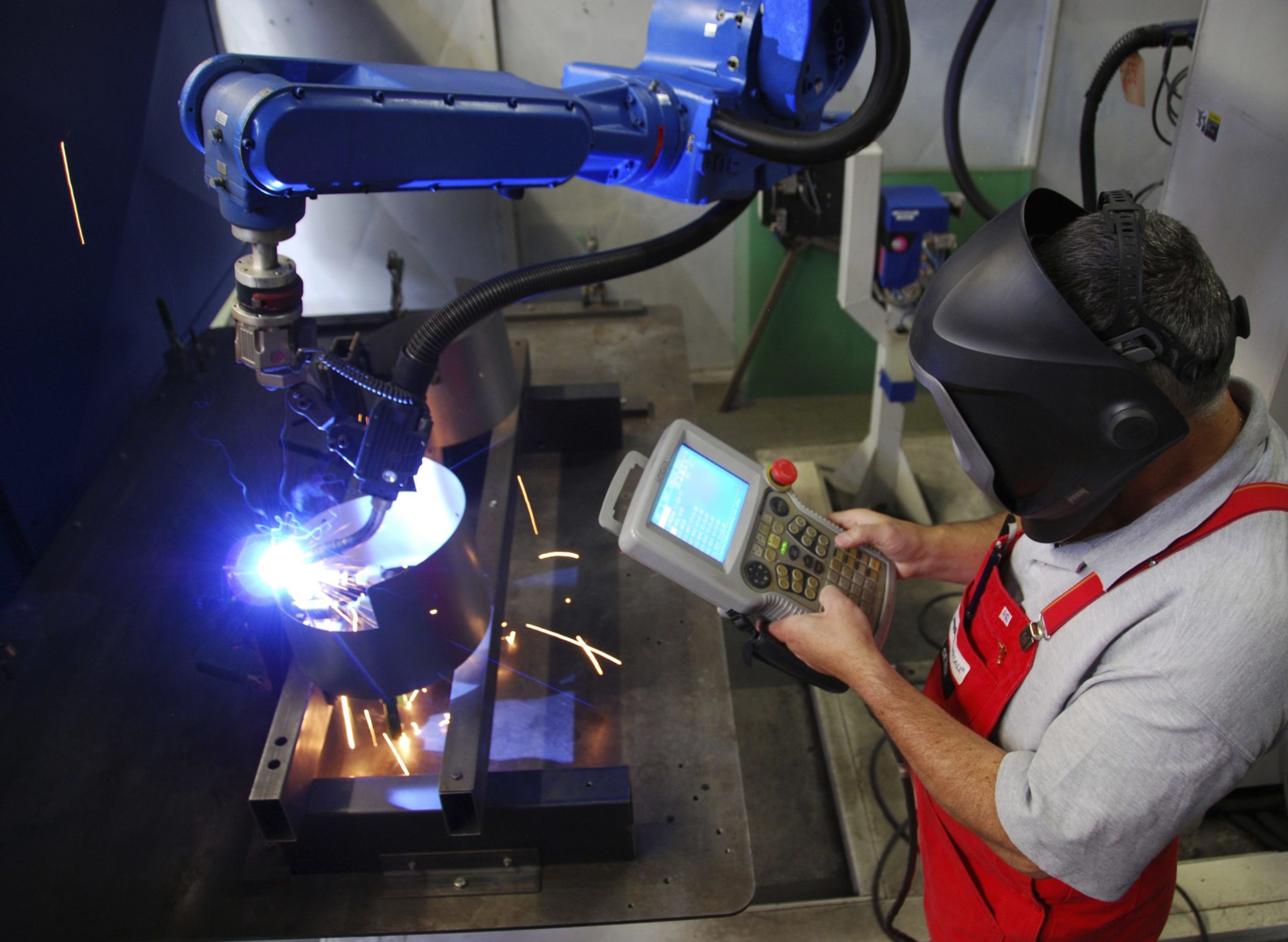 %C2%A9Juergen Effner AdobeStock 26695907Kopie scaled