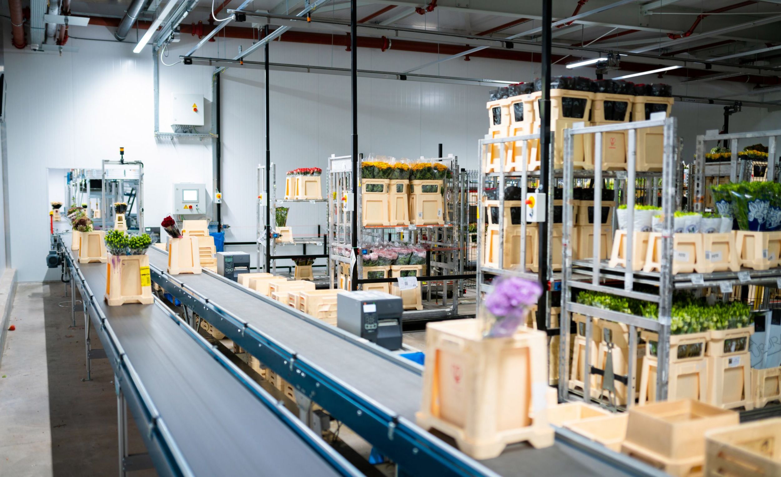 219055 MHS Hoek Group2 scaled