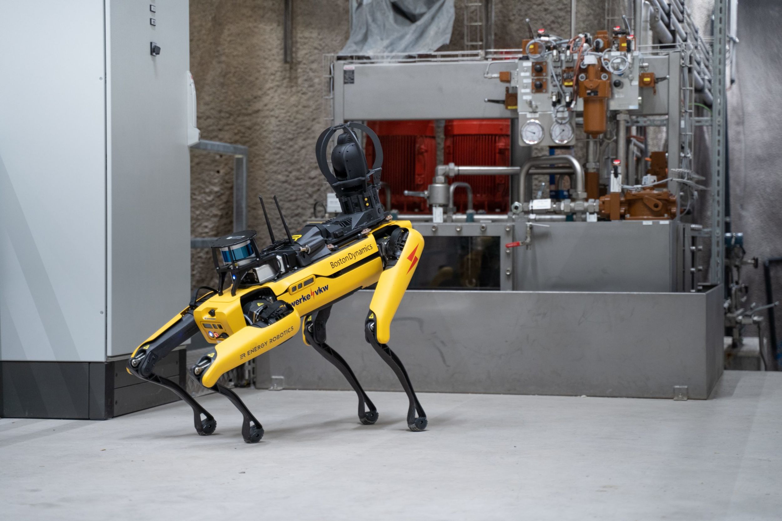 228725 DSC04551 scaled