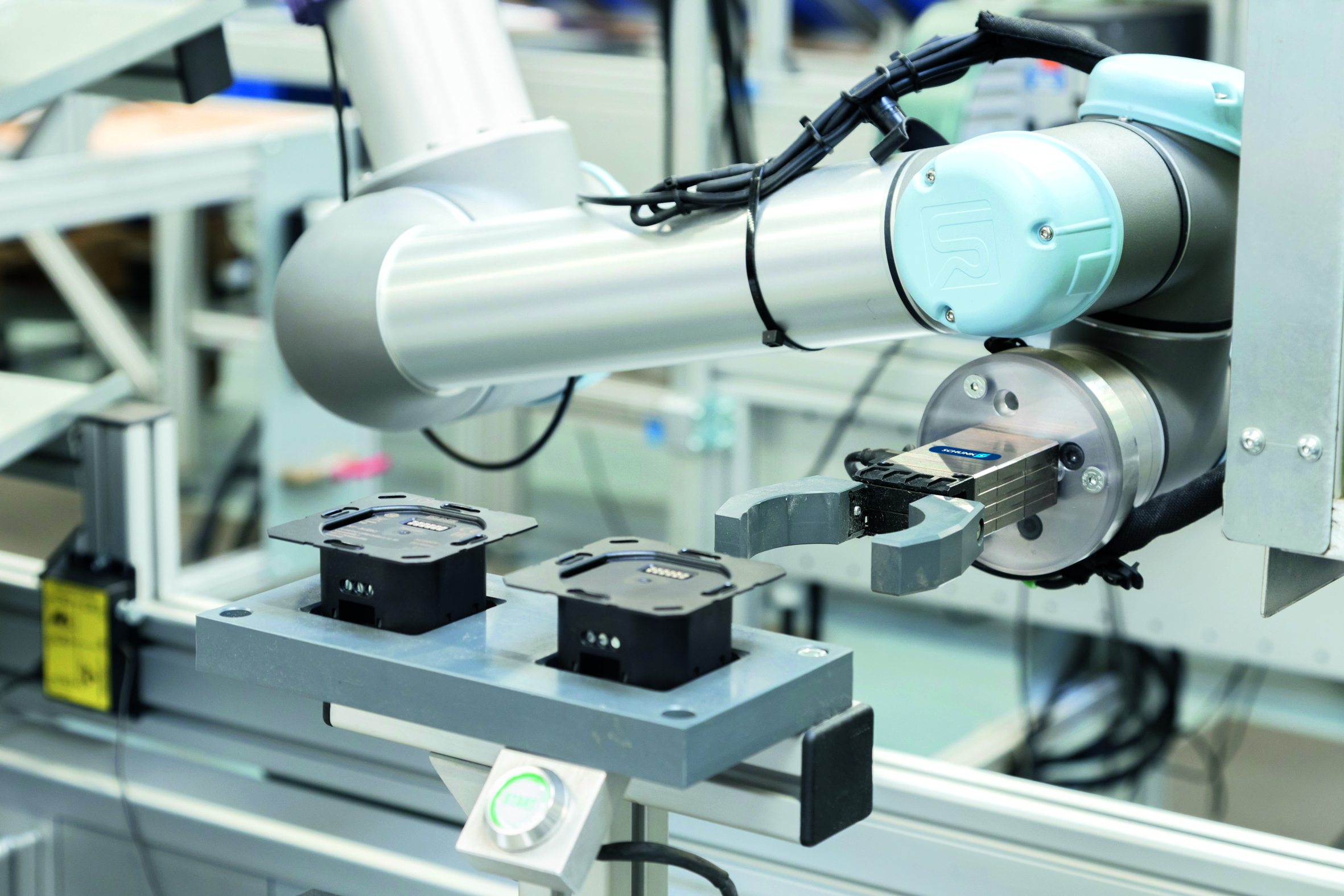 web 233595 Aufnahme 1