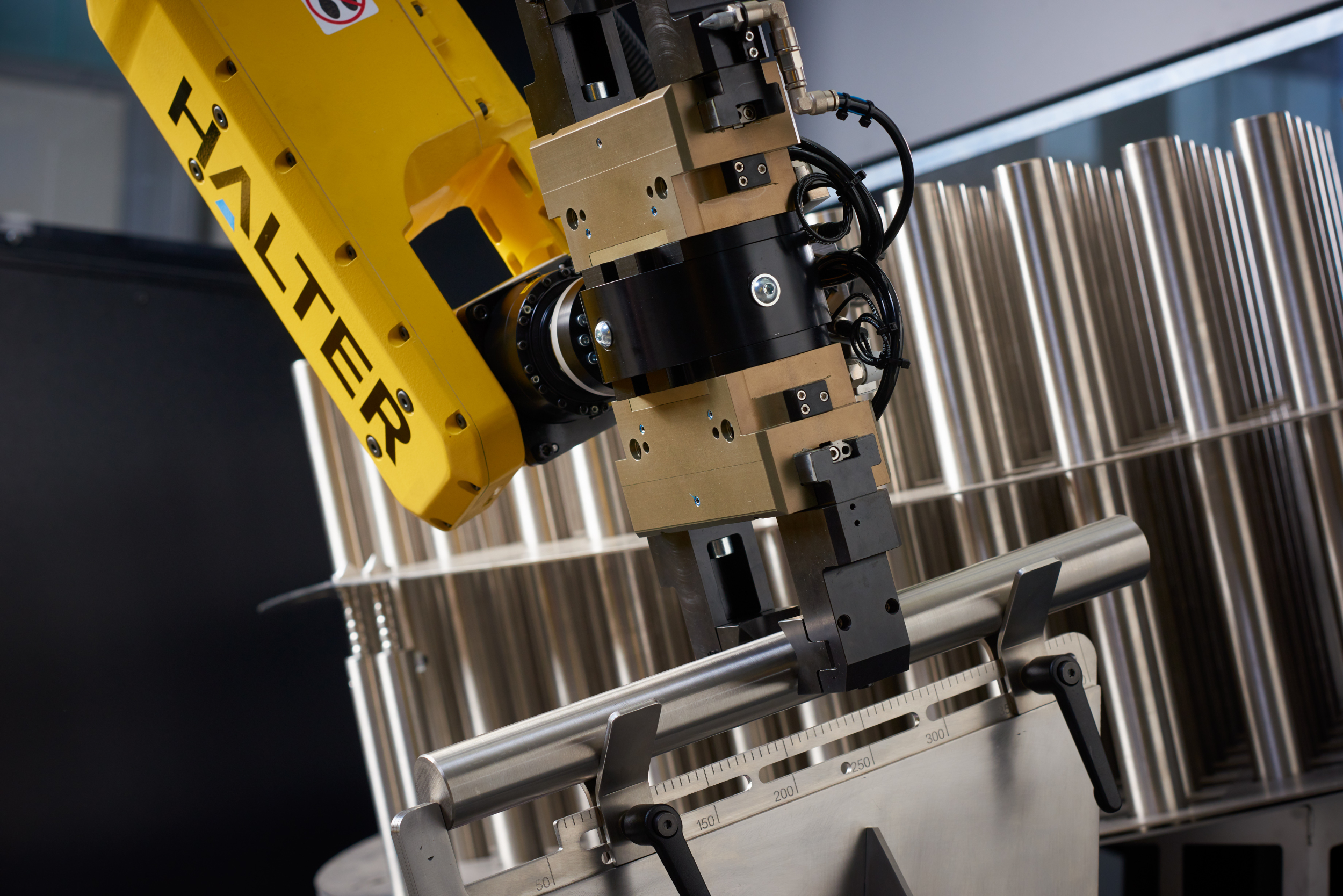 245328 Halter AMB 02