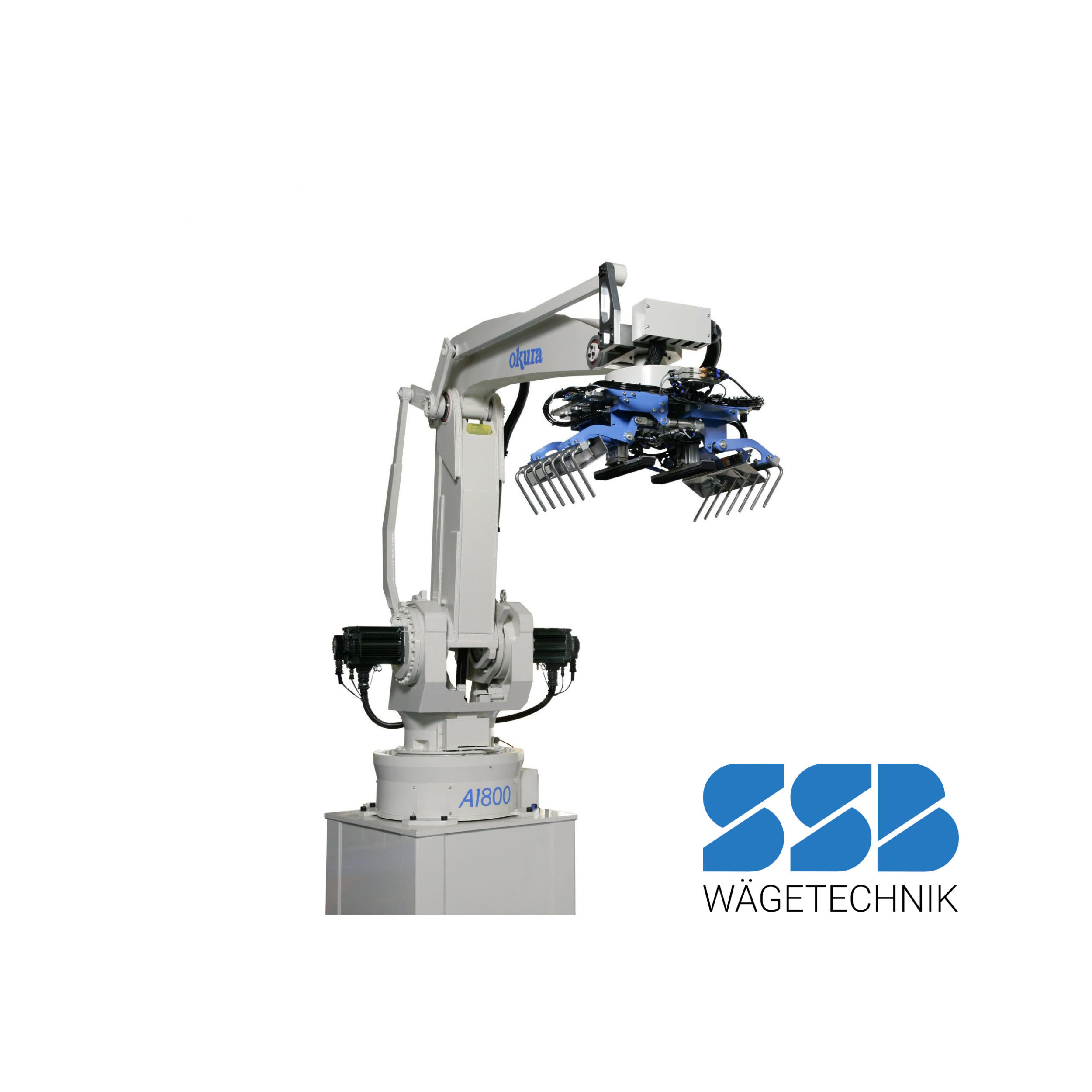 web 234408 1800CE scaled LogoSSB