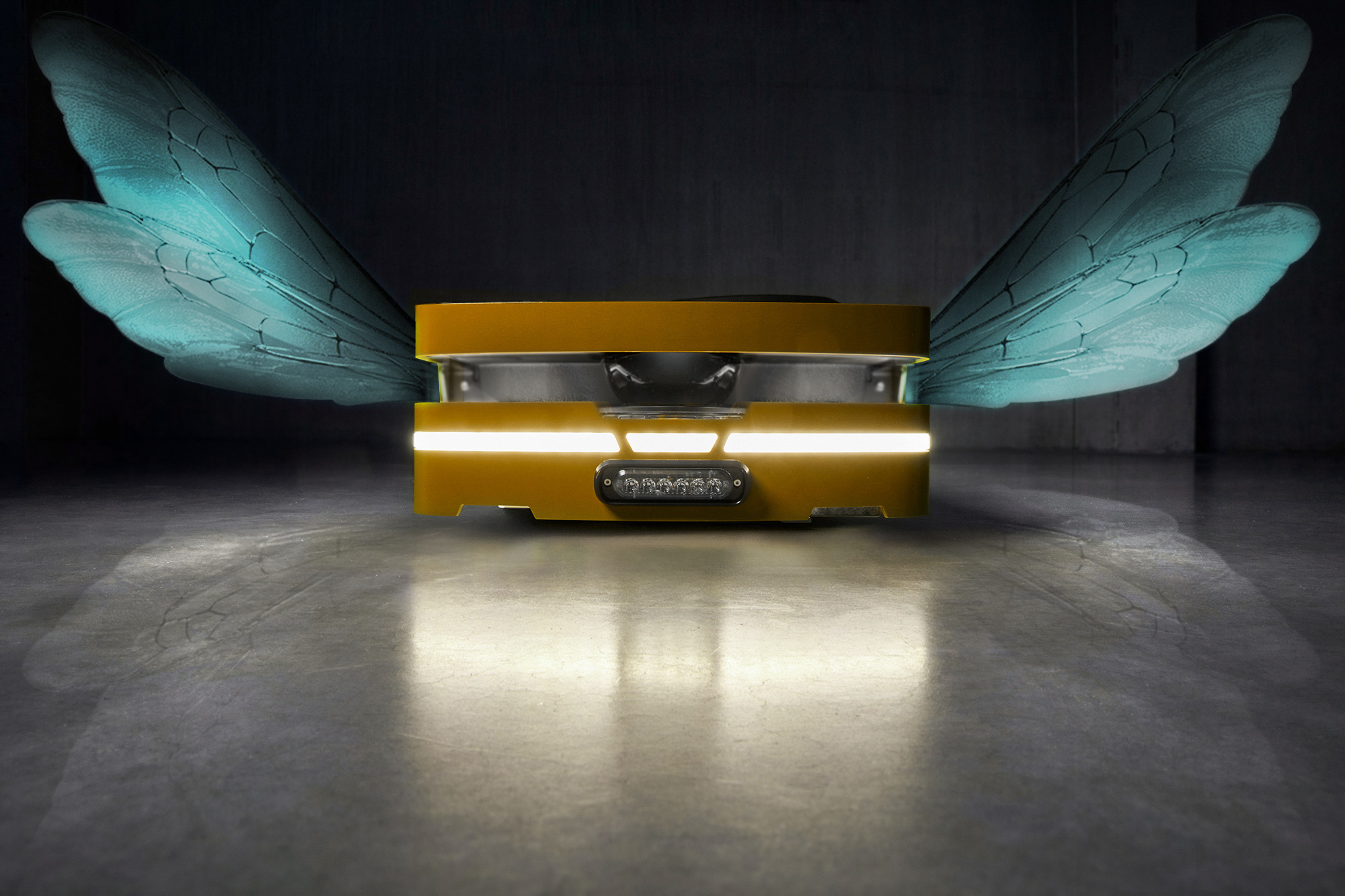 Roboterlokalisierung mit rein visuellen Daten 7 SAFELOG Opteran Insect inside final