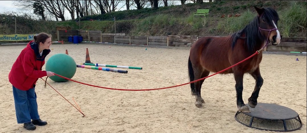 Ellen Weir with therapy horse