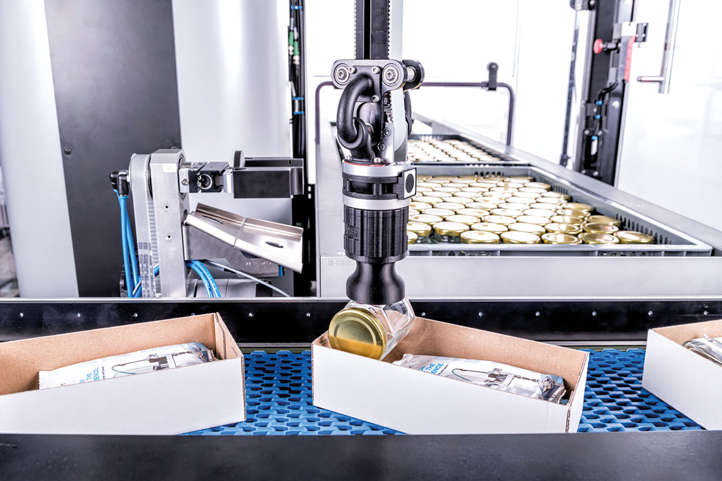 Empfindliche Produkte greift der Cobot mit seinen spezifischen Greifwerkzeugen schonend.