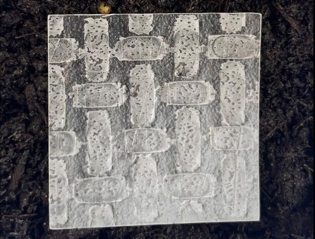 Rice paper for soft robots