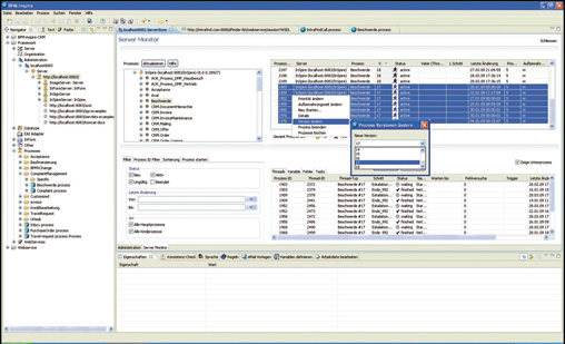 Komplexität mit Prozessmanagement bewältigen 5 Komplexität mit Prozessmanagement bewältigen