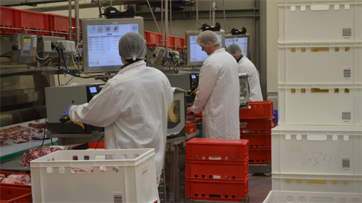 Schlanke Prozesse für frische Produkte