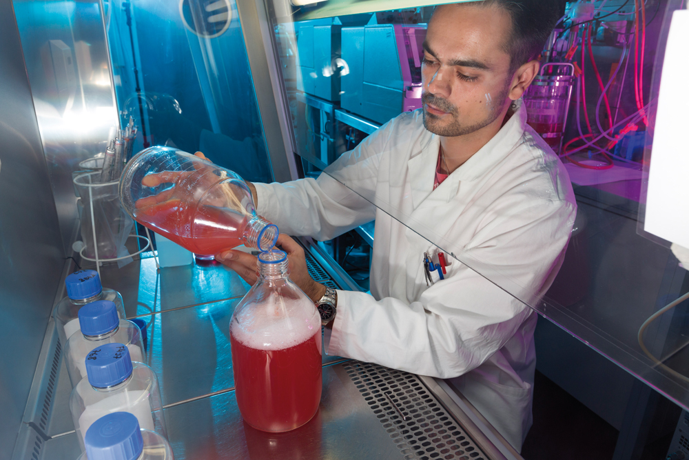 Abläufe professionell stützen 3 Abläufe professionell stützen