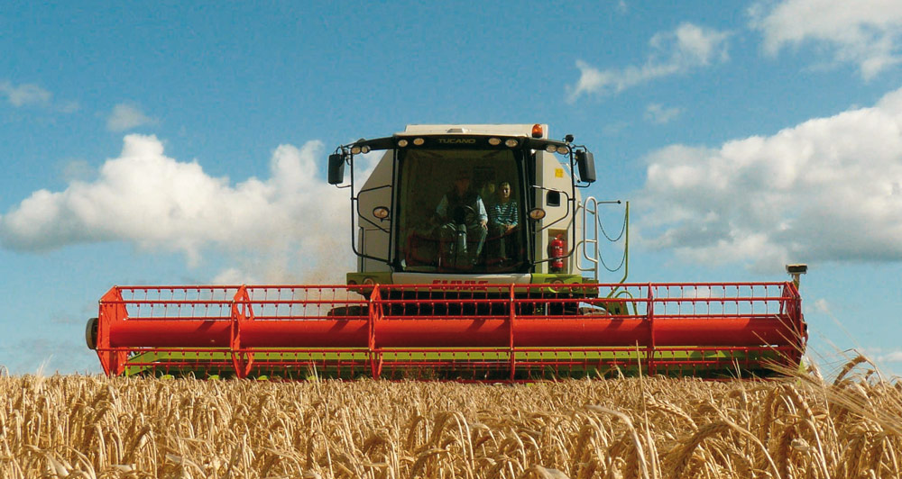 Die Datendrescher 7 Die Datendrescher