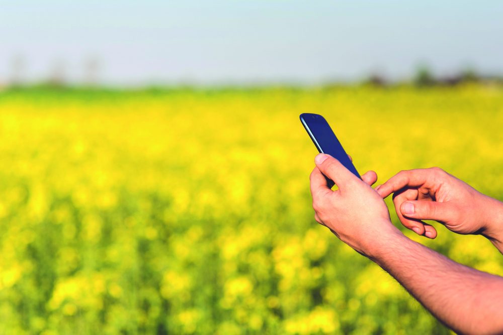 Wohin geht es für die Lebensmittelindustrie?