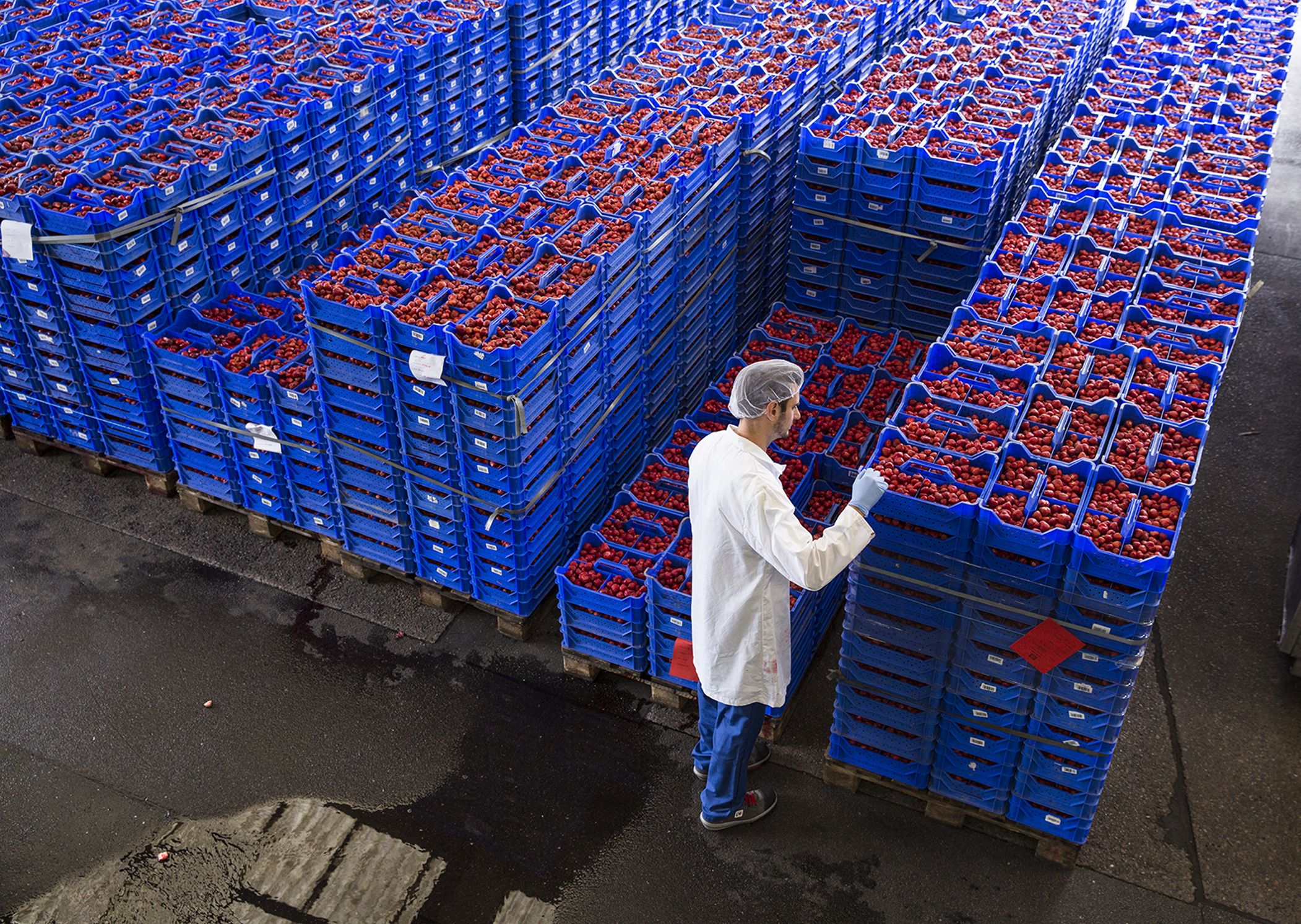Freiraum schaffen für Marktvorteile 9 Freiraum schaffen für Marktvorteile