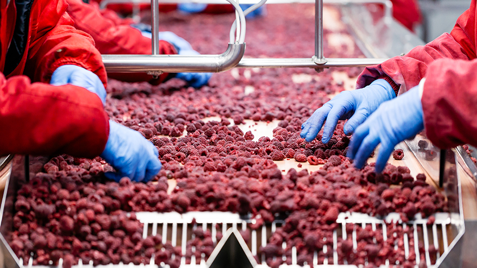 Industrie 4.0 – IoT-Lösungen in der Praxis