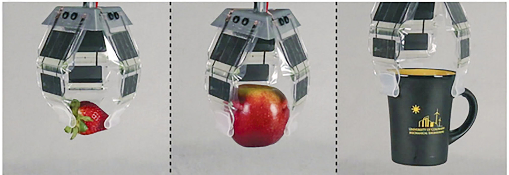 High-Speed-Videos von bionischen Gelenken