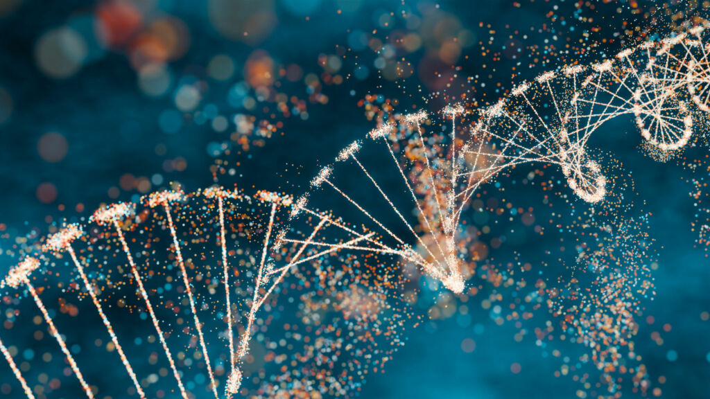 325424 vTanyaJoy AdobeStock 781236459