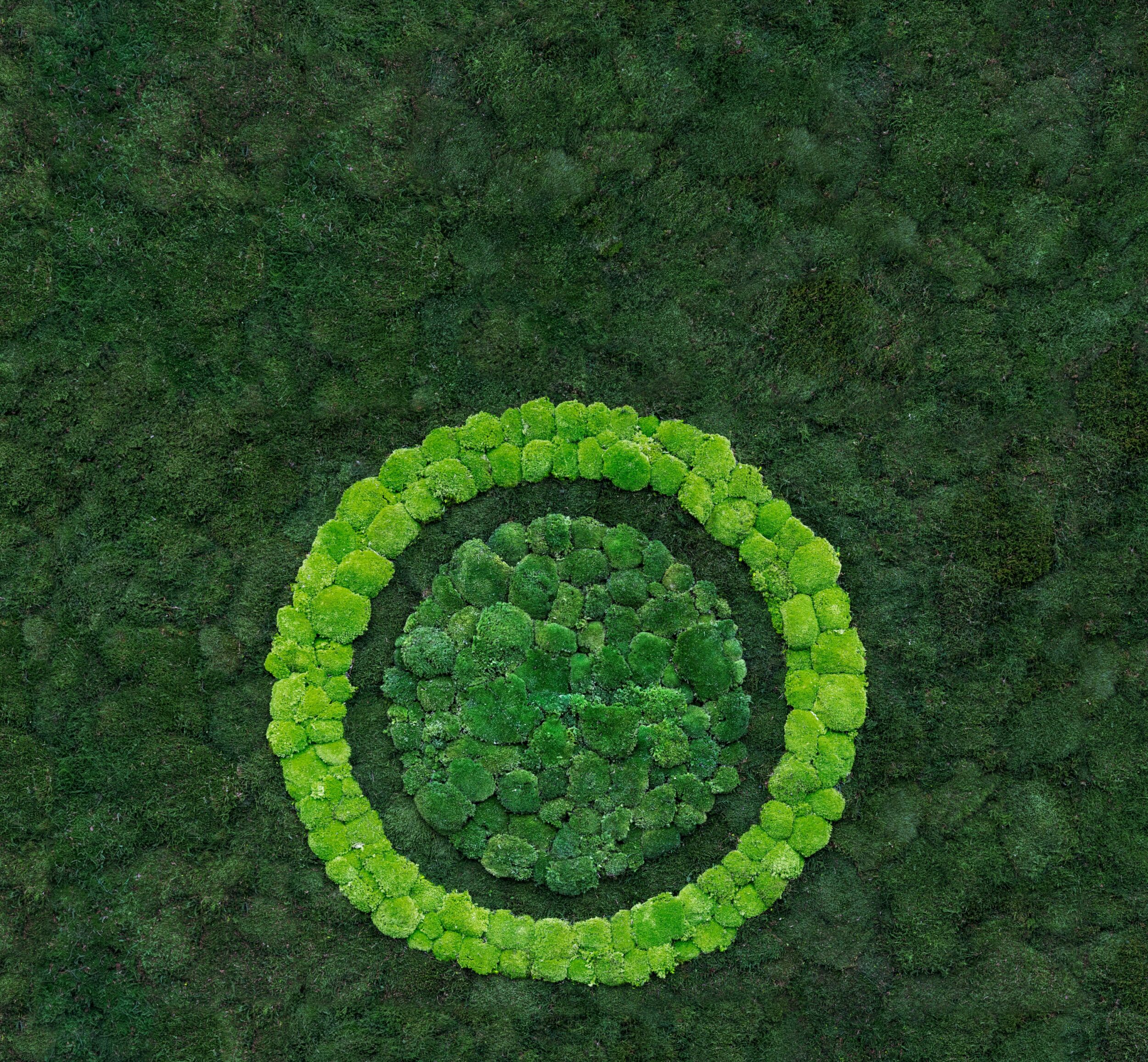 Siemens erreicht sieben von 14 Nachhaltigkeitszielen vorzeitig