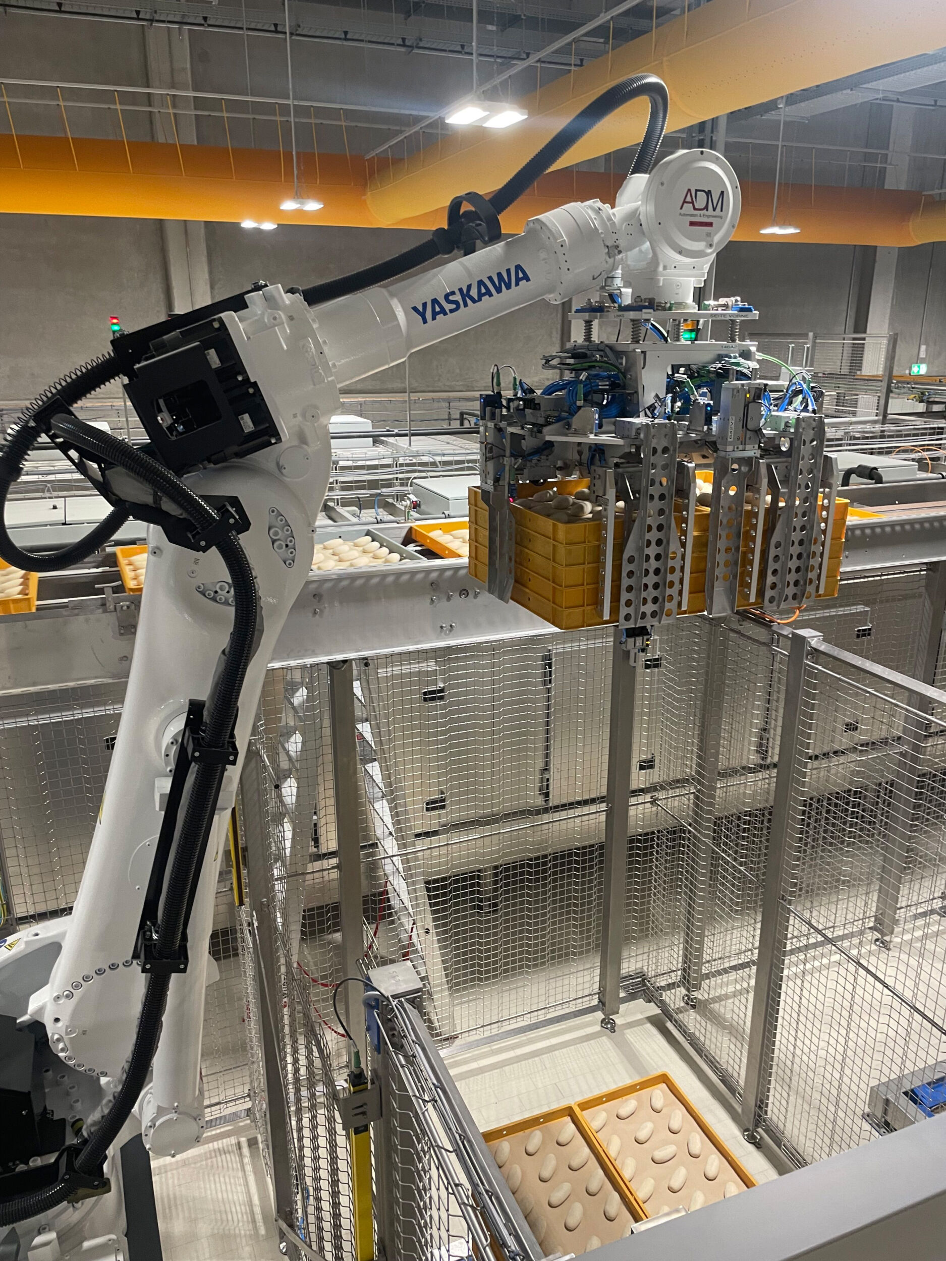 Bäckerei Görtz setzt auf Automatisierung: Wo Roboter Brötchen backen