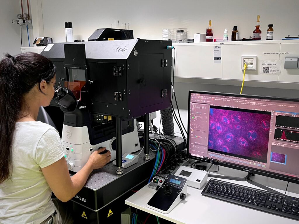 KIT-Wissenschaftler forschen an DNA-basierten Computerchips 1 Um das Verhalten der DNA nachvollziehbar und vorhersagbar zu machen, kombinieren die Forschenden Laborexperimente mit Computersimulationen.