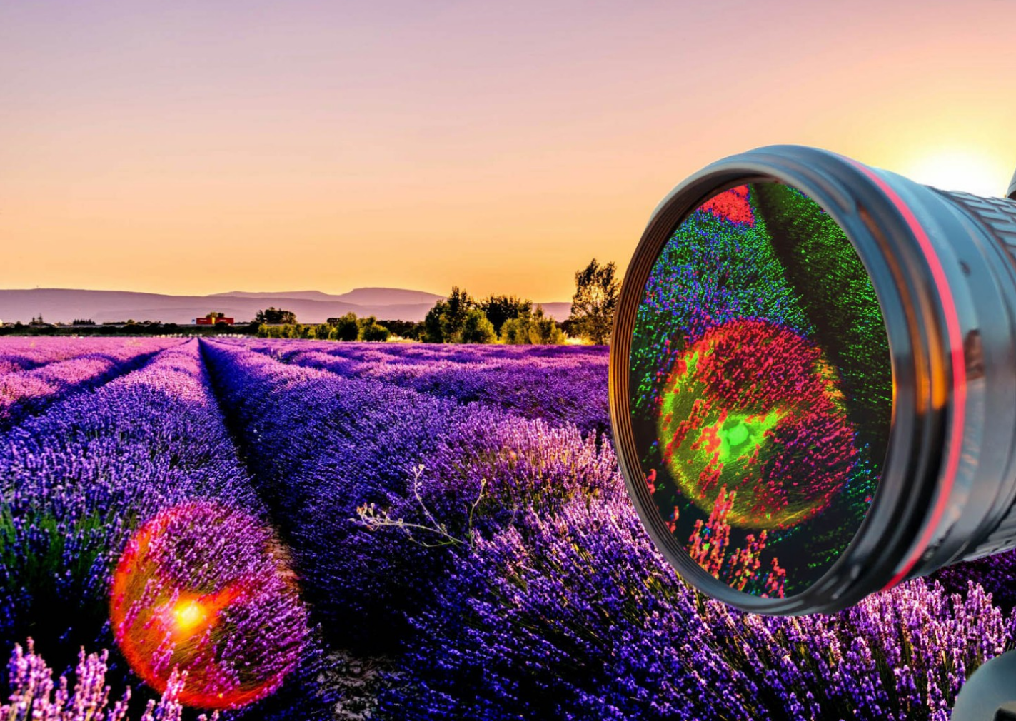 KI-basierte Hyperspektralkamera erschließt neue industrielle Anwendungen