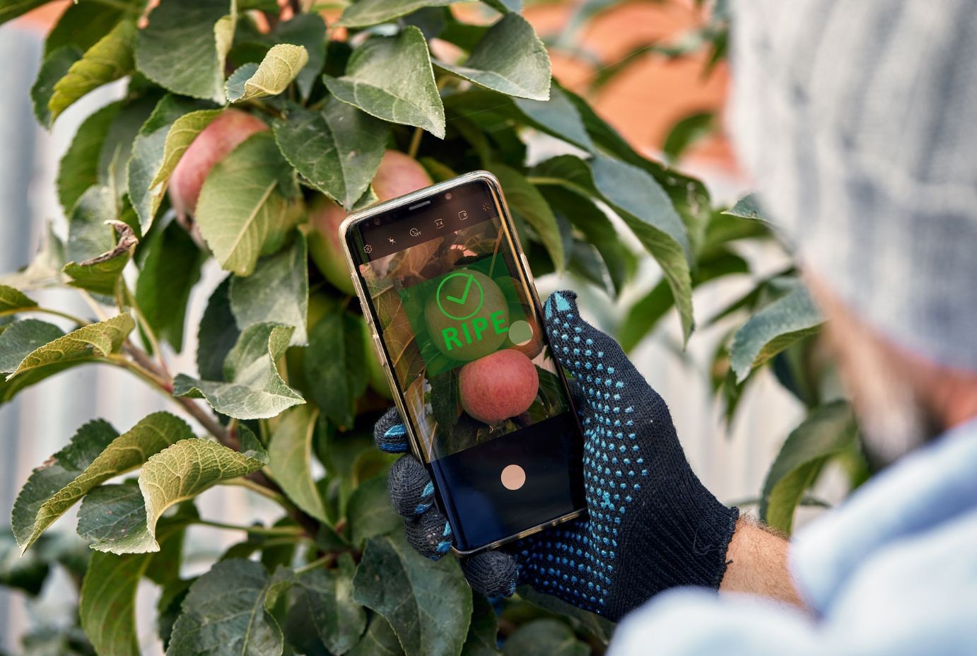 KI-gestützte Datenverarbeitung an der Schnittstelle zwischen Edge und Cloud