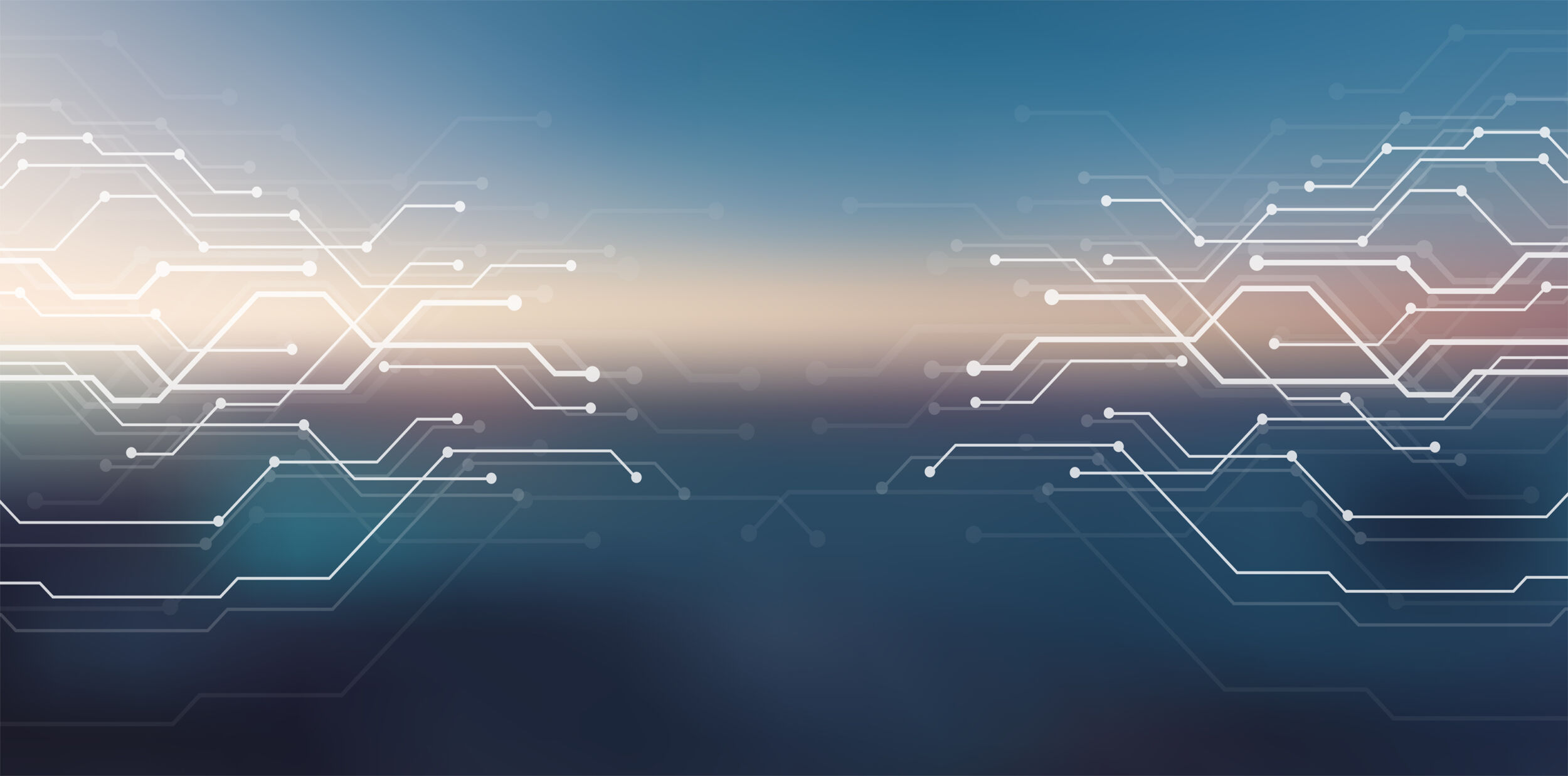 Digitalisierung trotz Umsatzrückgang