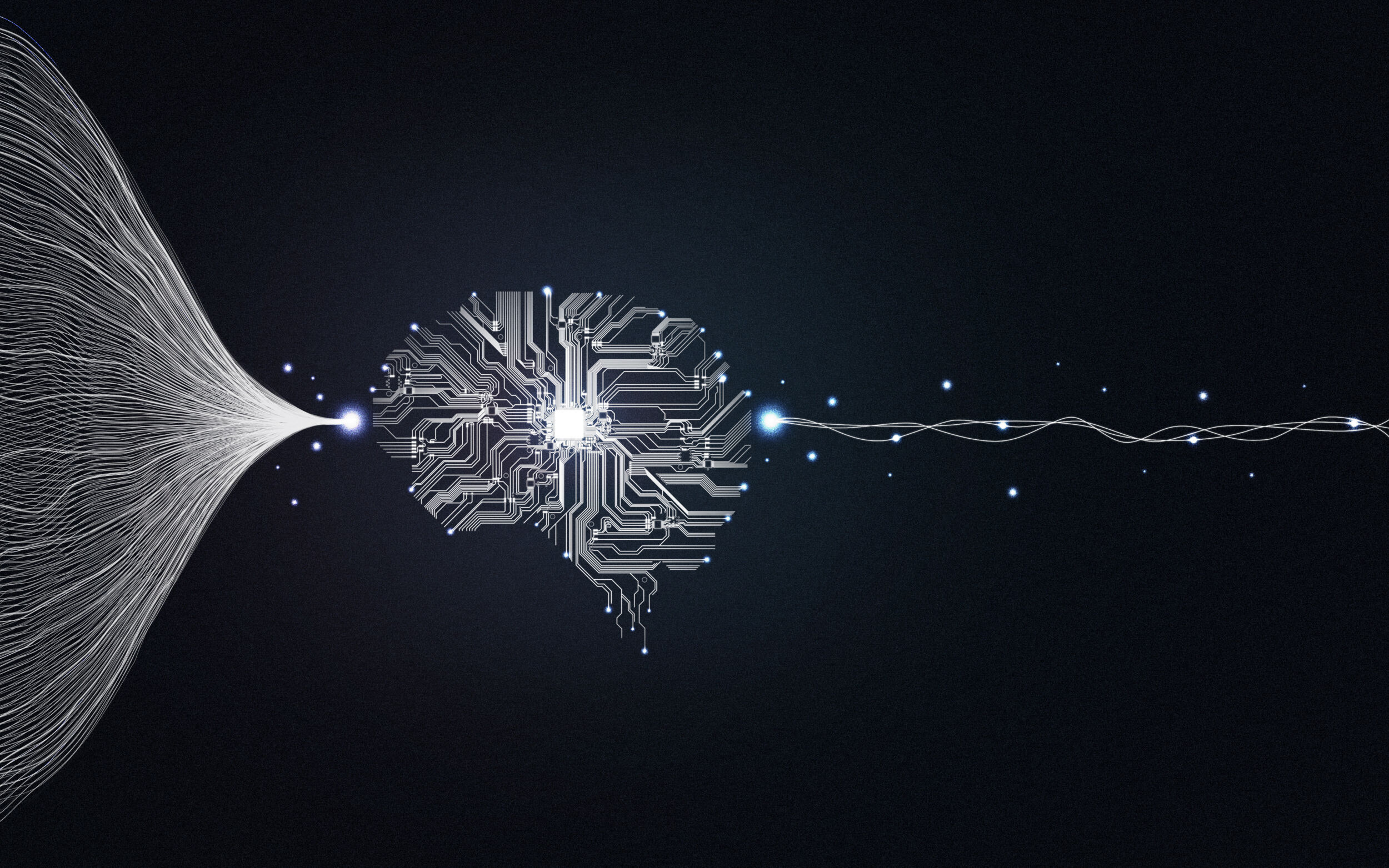 „Du bist, was Du isst“