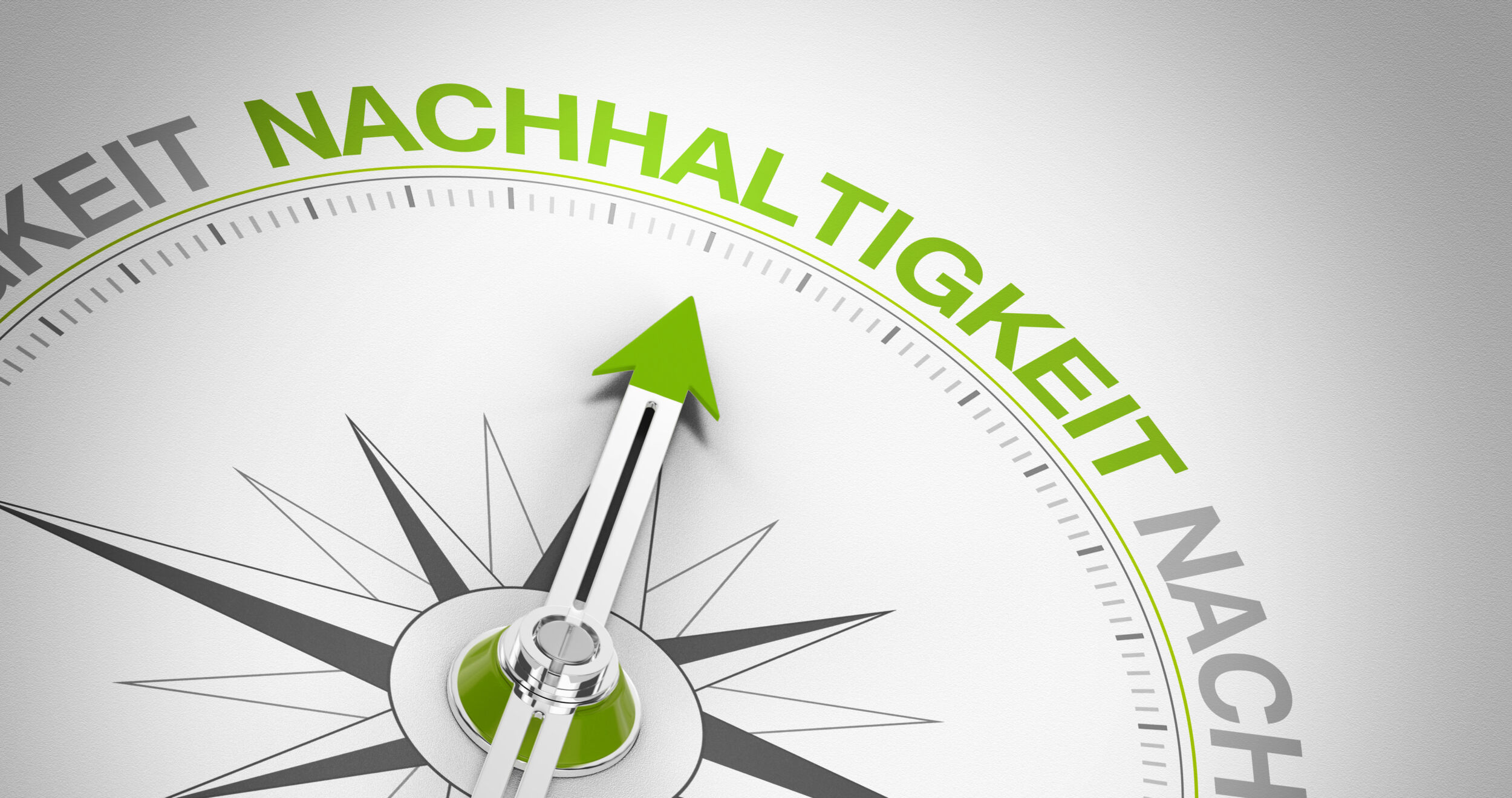 Verantwortungsvoller Umgang mit Ressourcen wird zur Pflicht