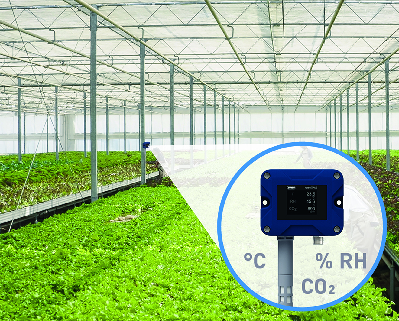 Vom Gewächshaus insInternet of Things