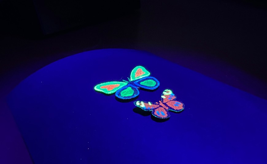 Schmetterlinge beflügeln Robotik 1