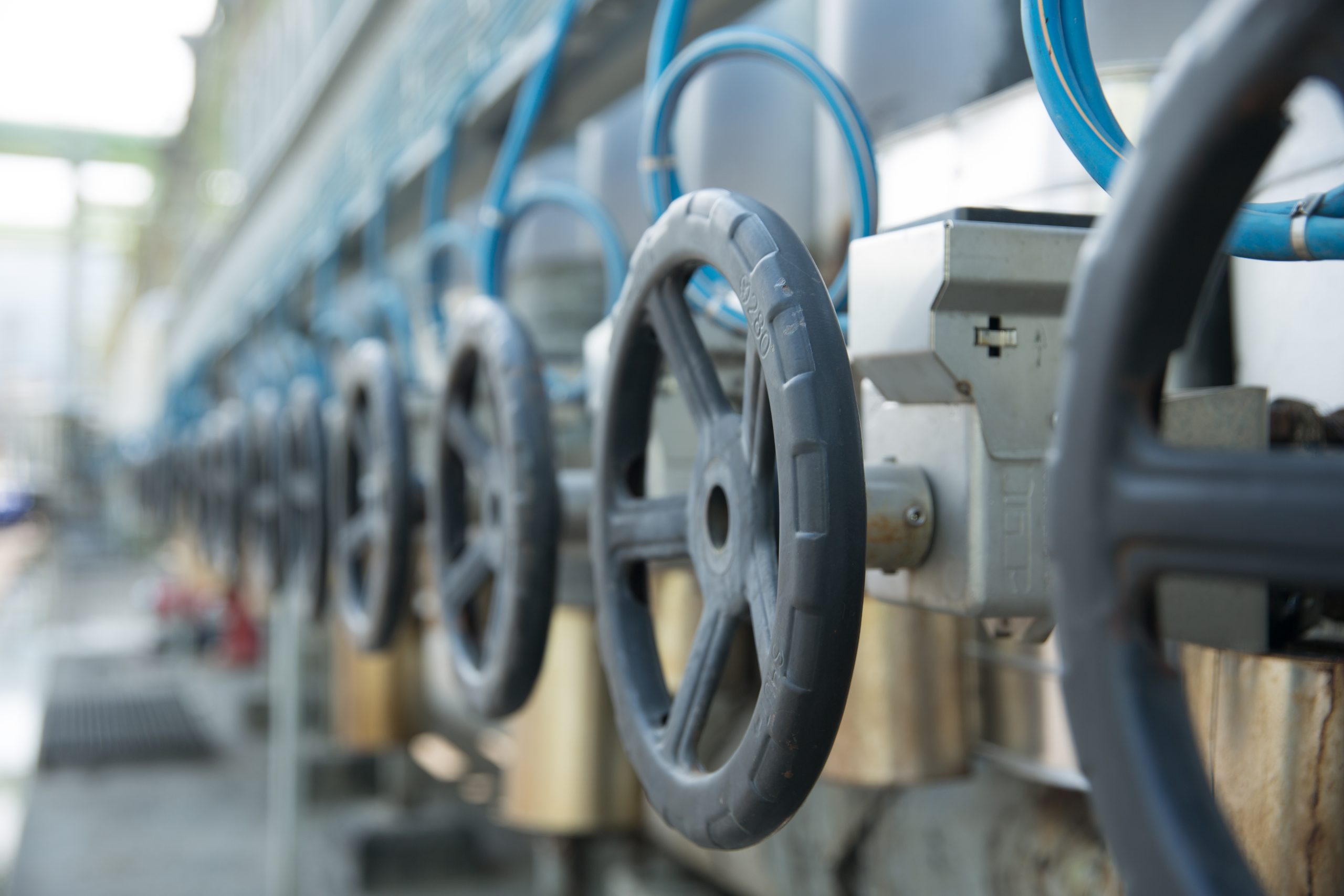 Keine kostspieligen Fehler 5 Keine kostspieligen Fehler