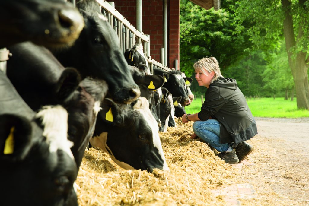 Perfekte Fütterungskonzepte 1 Für die Füllstandüberwachung in den Mischbehältern am Produktionsstandort Grafenwald wählte die Sano Moderne Tierernährung für das zu kontrollierende Material eine kapazitive Füllstandsmesstechnik von UWT.