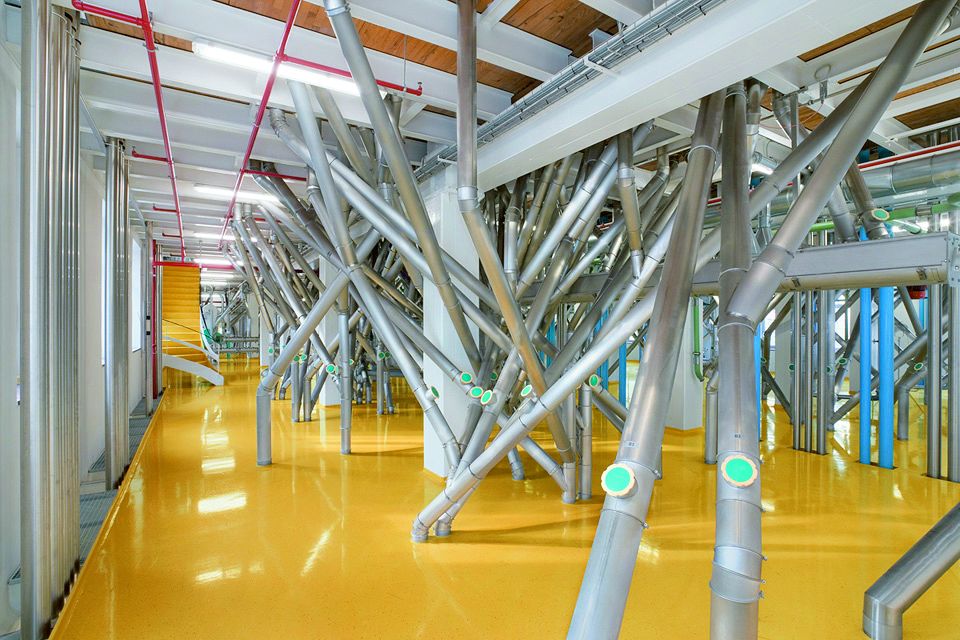 Am Anfang war die Kleie