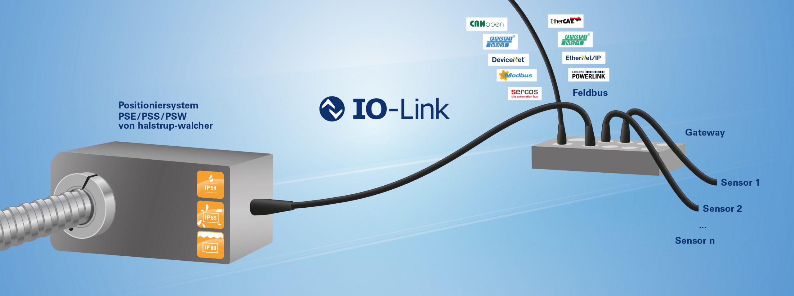 Automatisierte Formatverstellung mit IO-Link
