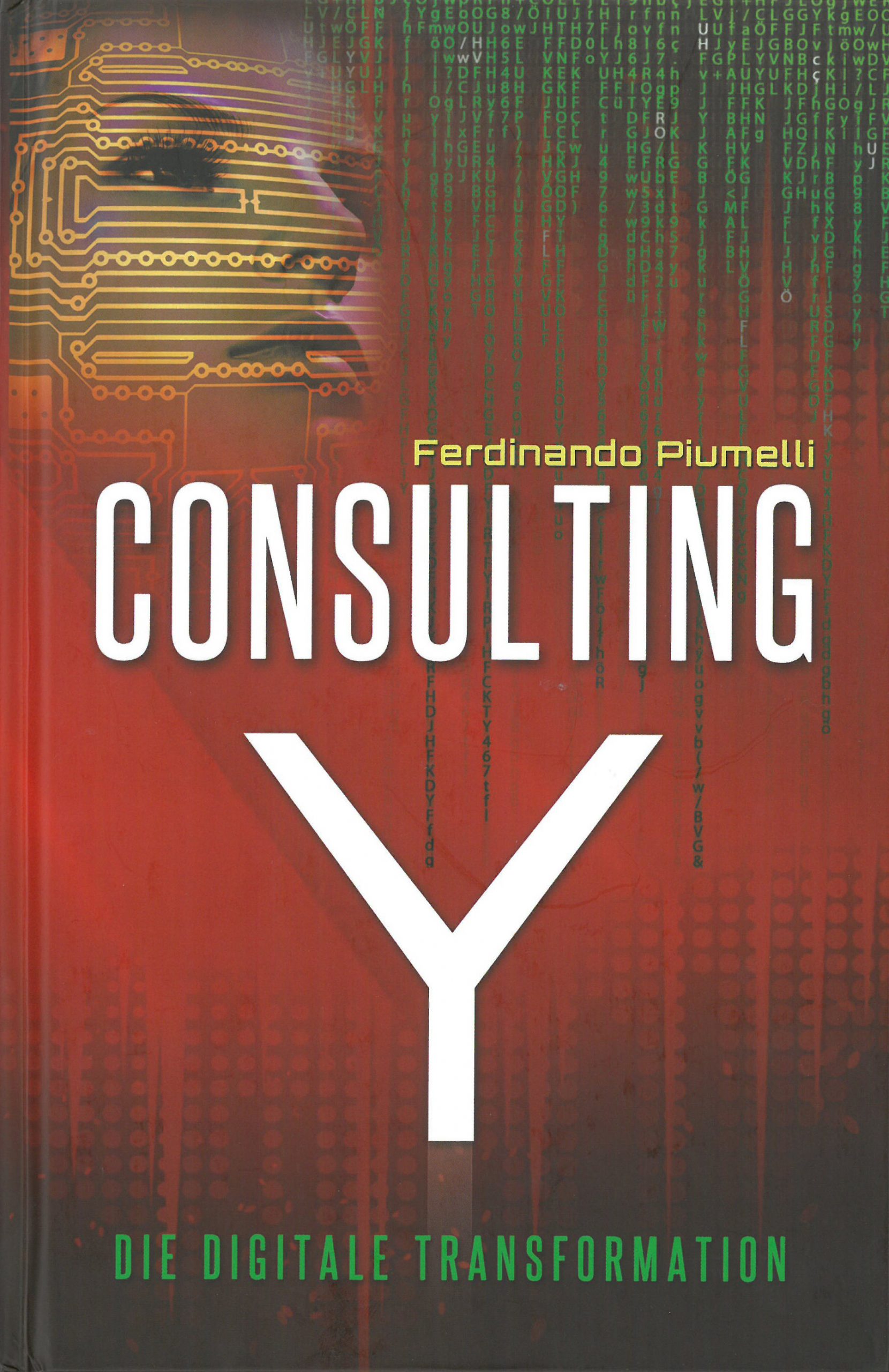 Consulting Y
