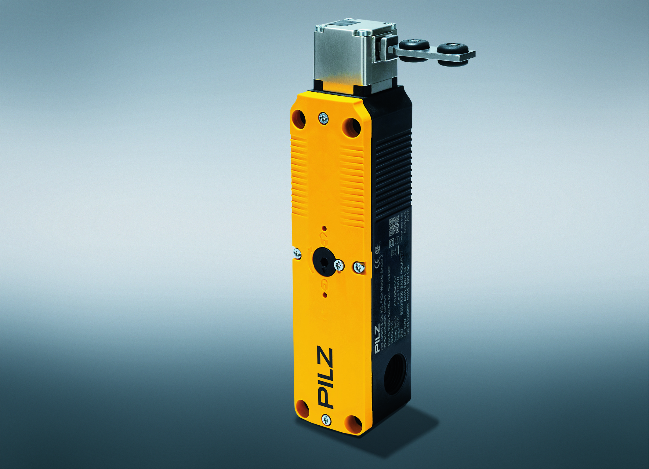 Schutztürsystem mit Zuhaltung