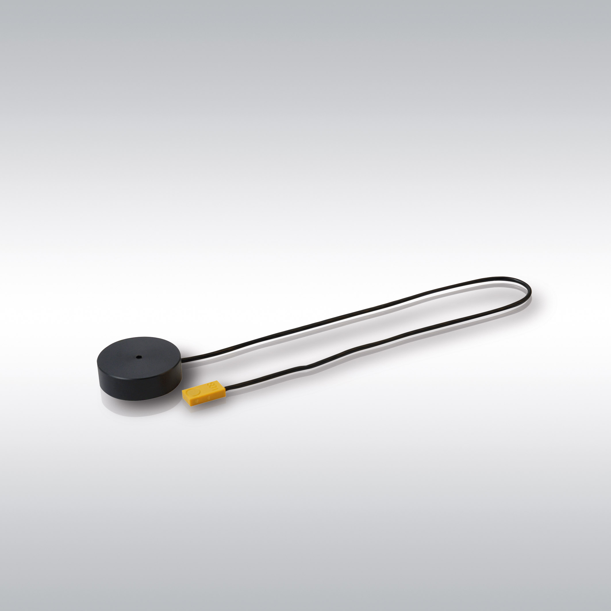 Sensor und RFID-Datenträger in einem