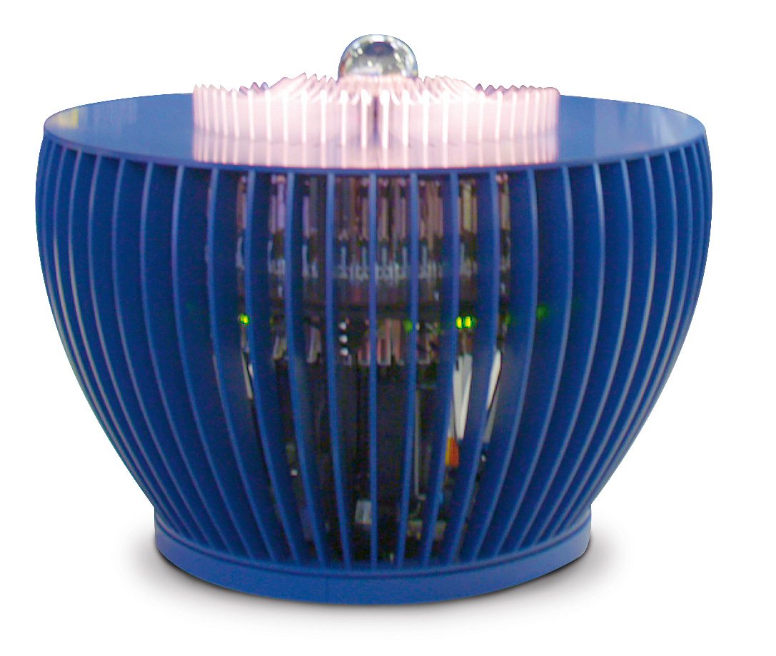 Projekt Anthozoa 2 Projekt Anthozoa