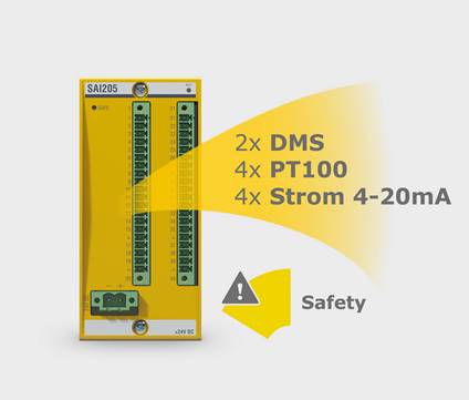 Safety-Eingabemodul für DMS/PT100 2 Safety-Eingabemodul für DMS/PT100