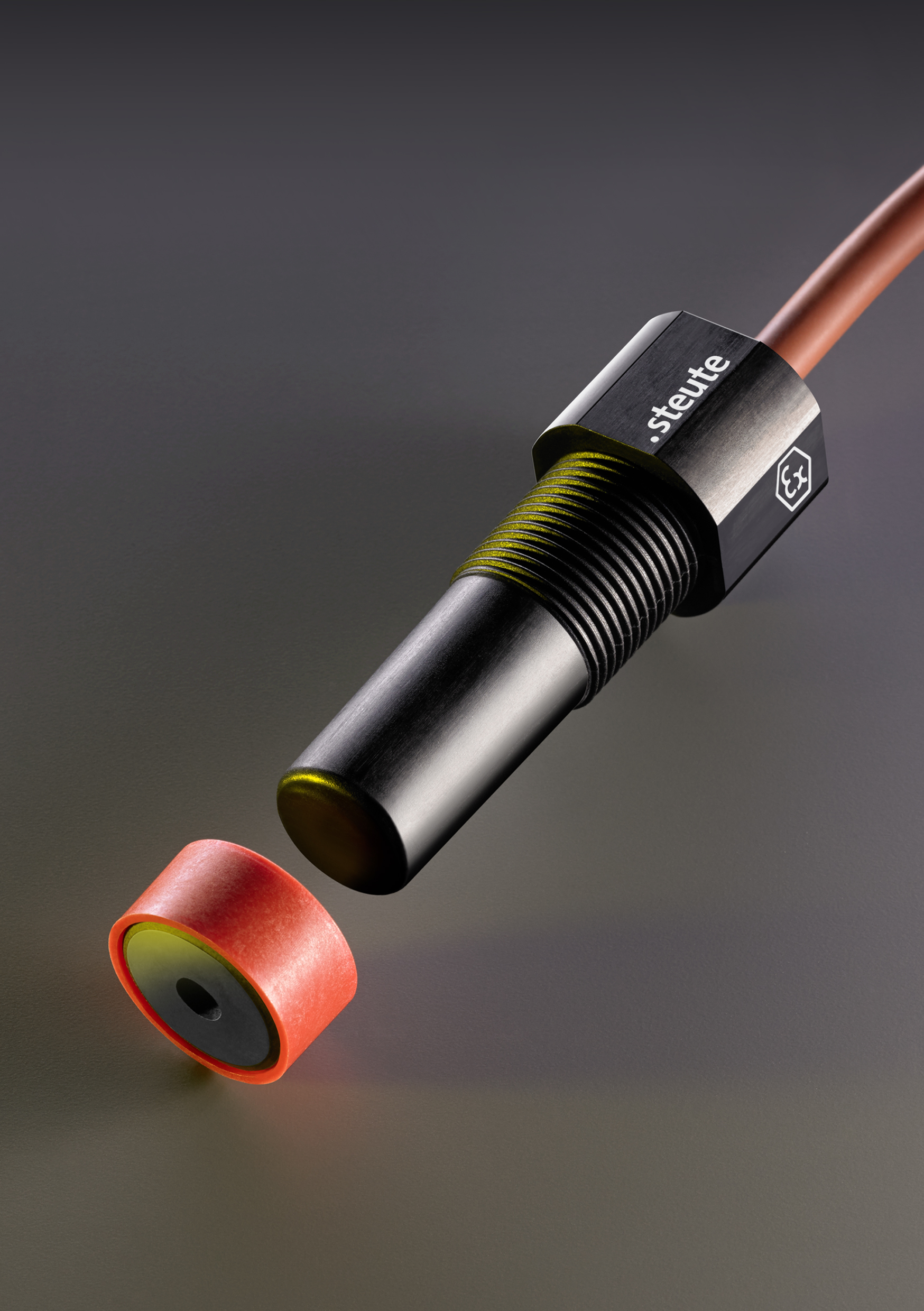 Ex-Magnetsensoren bis -60°C 4 Ex-Magnetsensoren bis -60°C