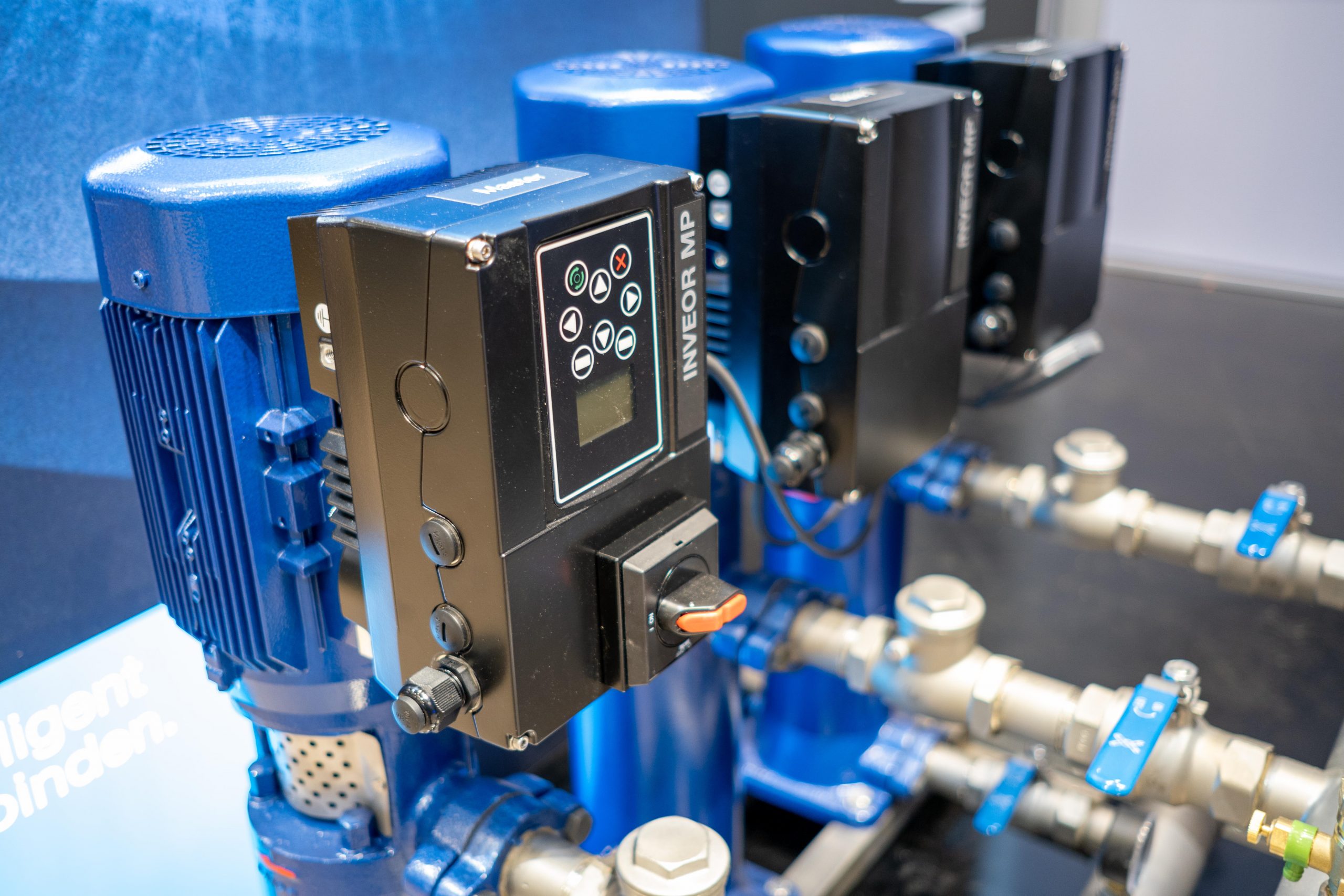 Die Familie wächst 6 Die Familie wächst