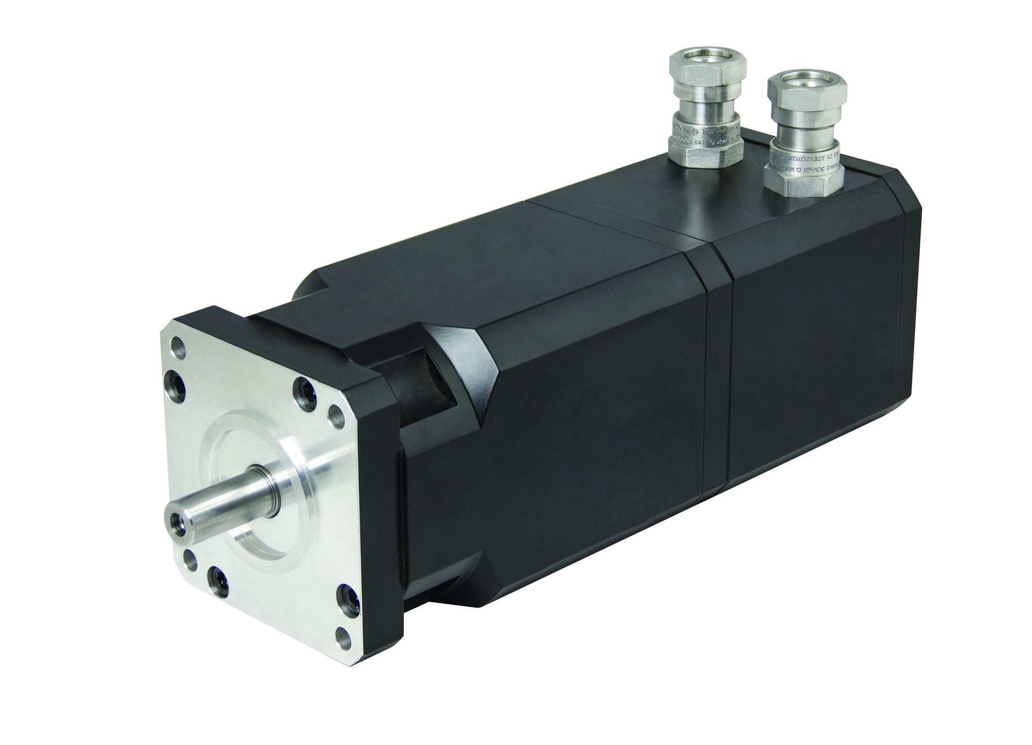 600W-Servomotoren für Ex-Bereiche