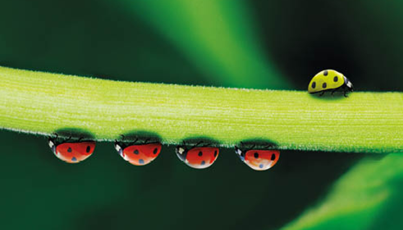 Maschine & MES einfach verbinden!